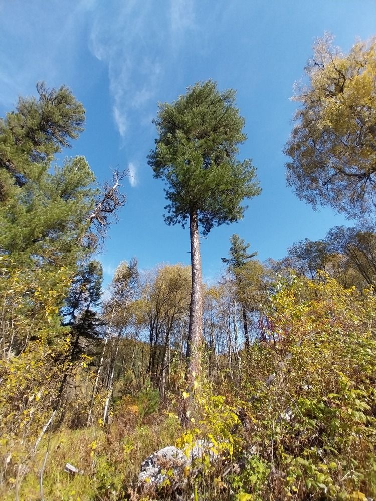 Photograph by Юлия Фирман