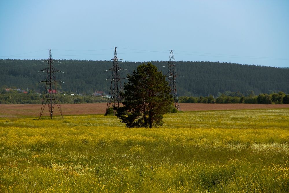 Photograph by Герасимов Игорь