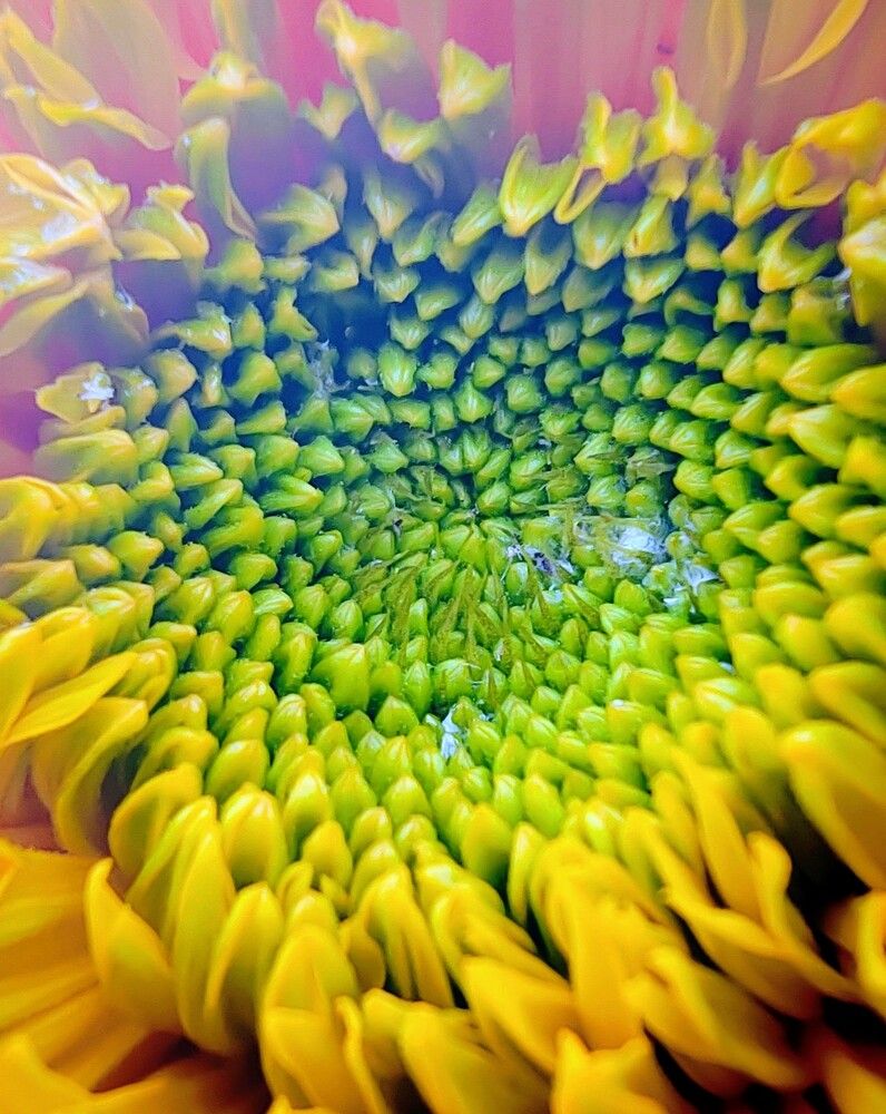 Photograph by Ольга Рыбина