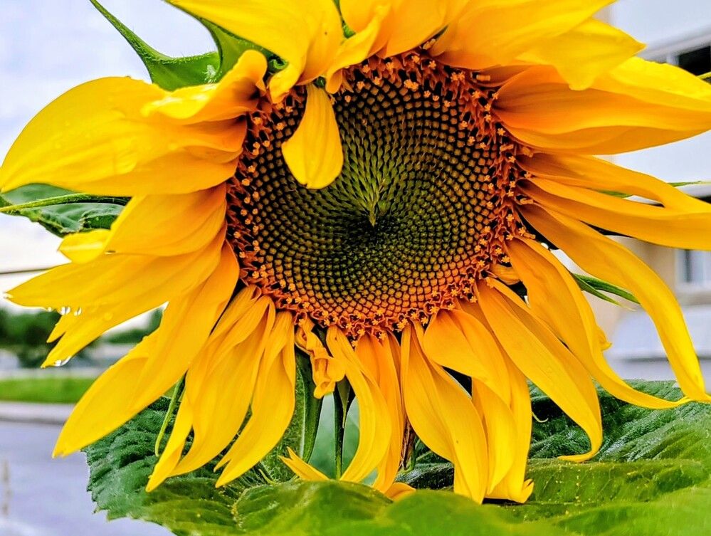 Photograph by Ольга Рыбина