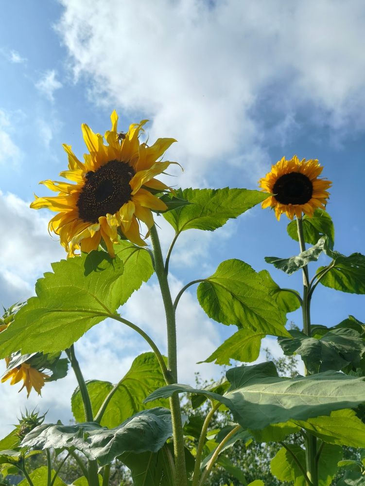 Photograph by Olga Kot