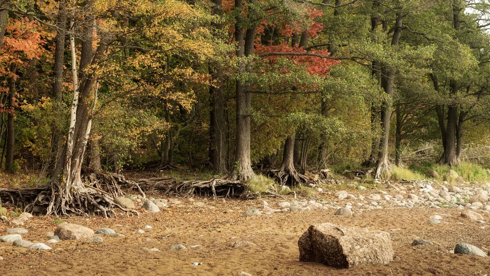 Photograph by Aleksandr Belov