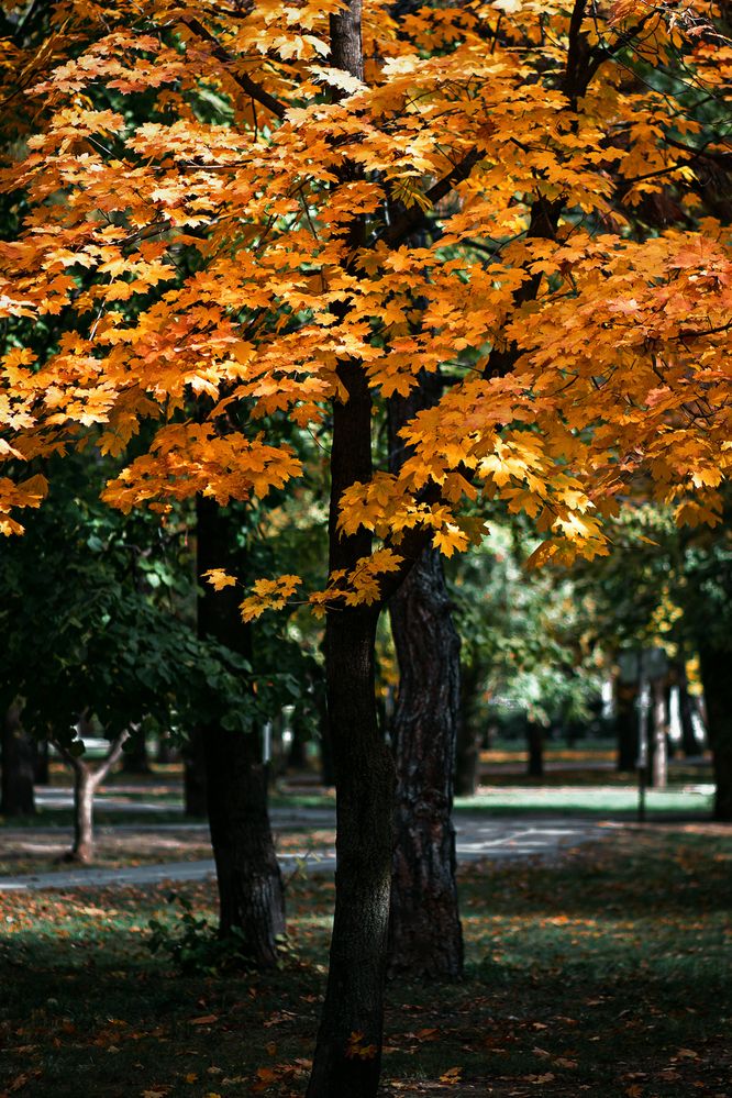 Photograph by Сергей Удовиченко