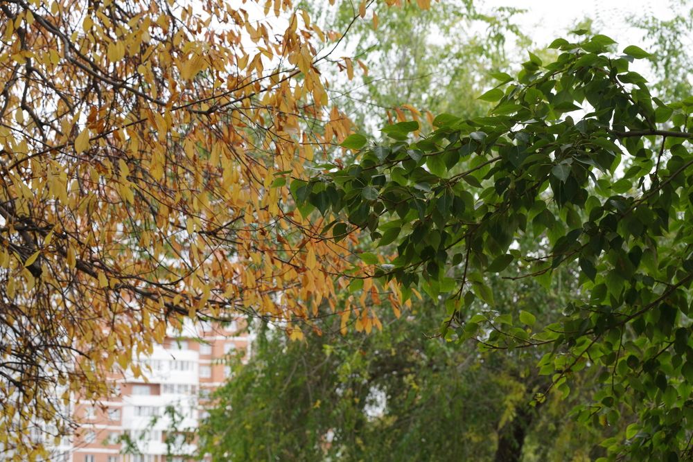 Photograph by Андрей Корытов