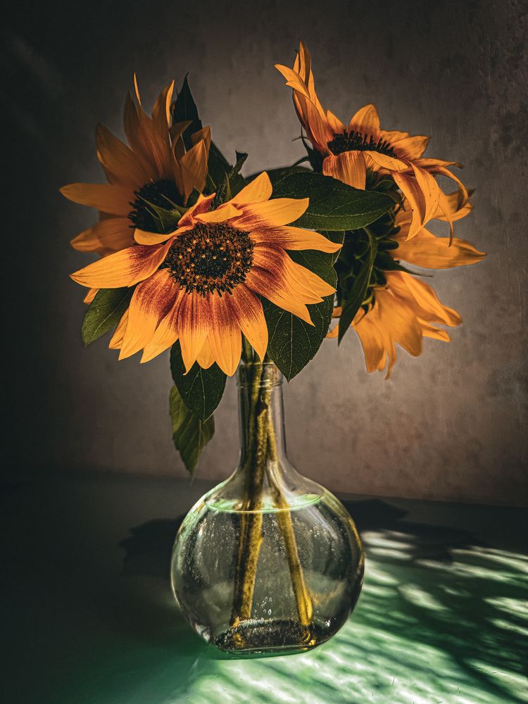 Photograph by Анна Пигулевская