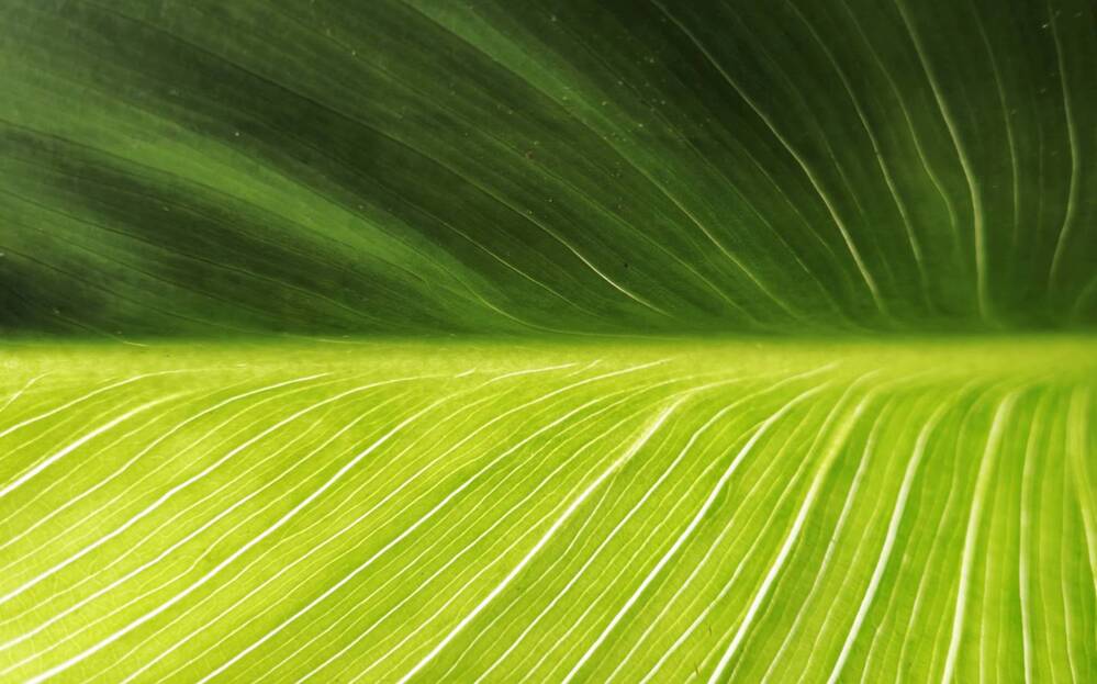 Photograph by Kaouche Mohamed