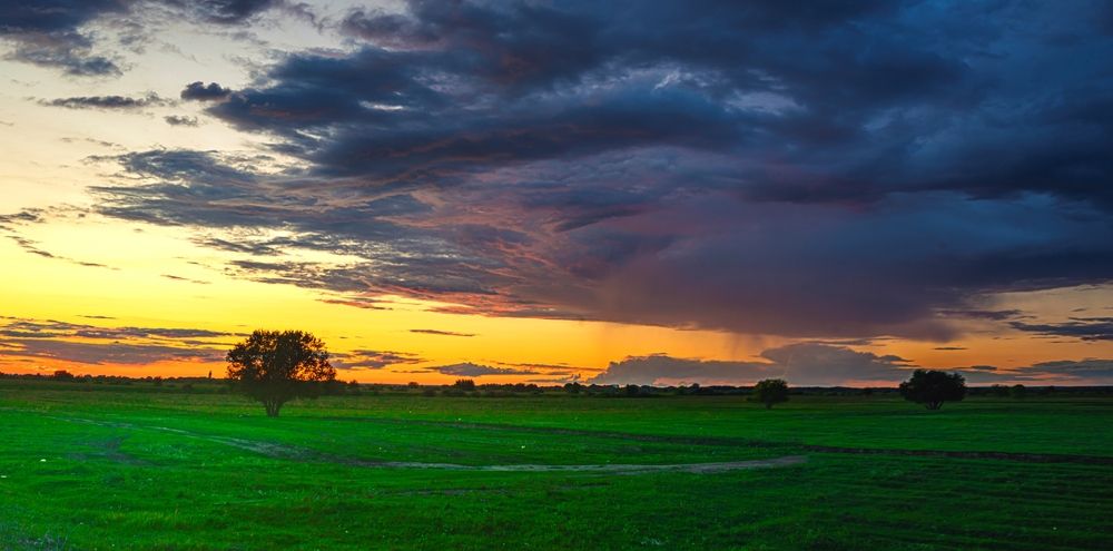 Photograph by Алексей