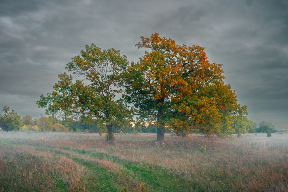 Photograph by Алексей