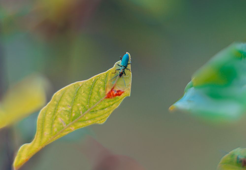 Photograph by Алексей