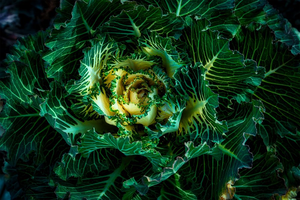 Photograph by Владимир Кваша