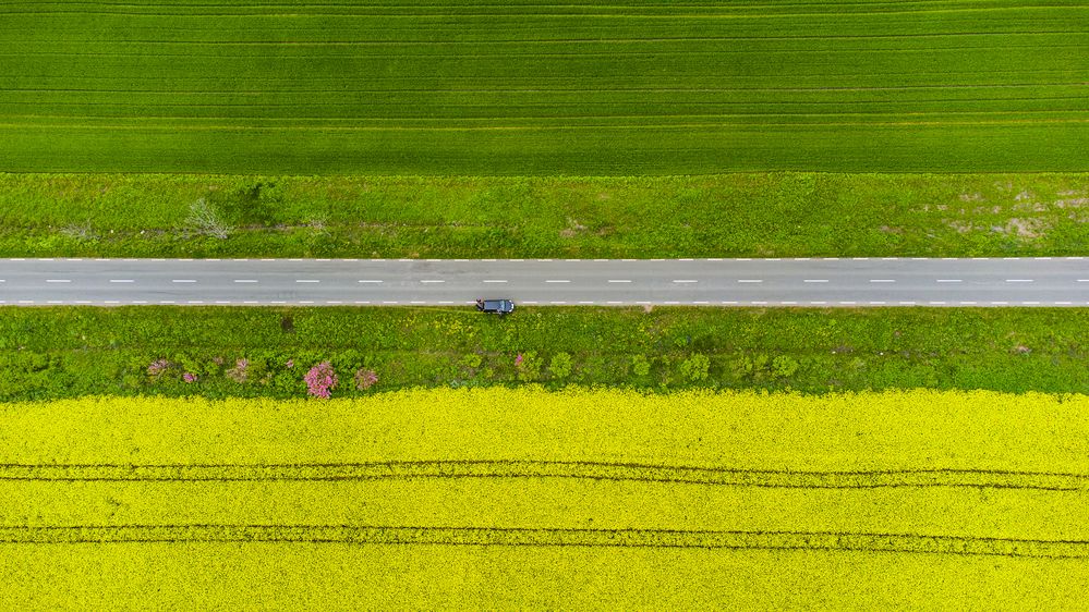 Photograph by Stoyo Stoev