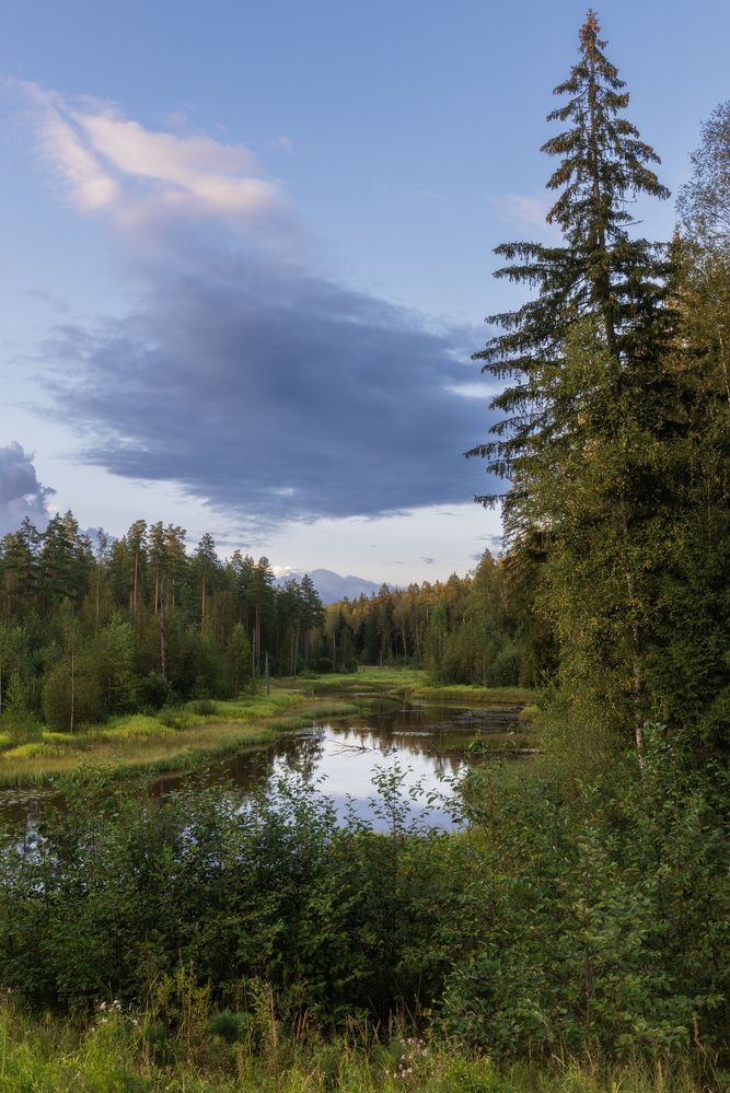 Photograph by Андреев Роман