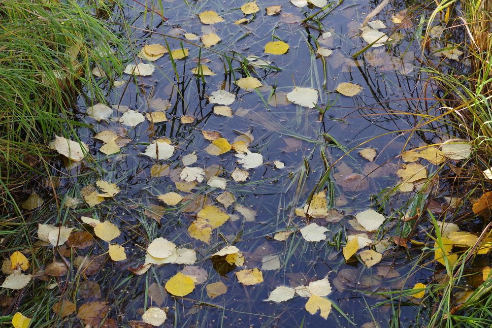 Photograph by Андрей Корытов