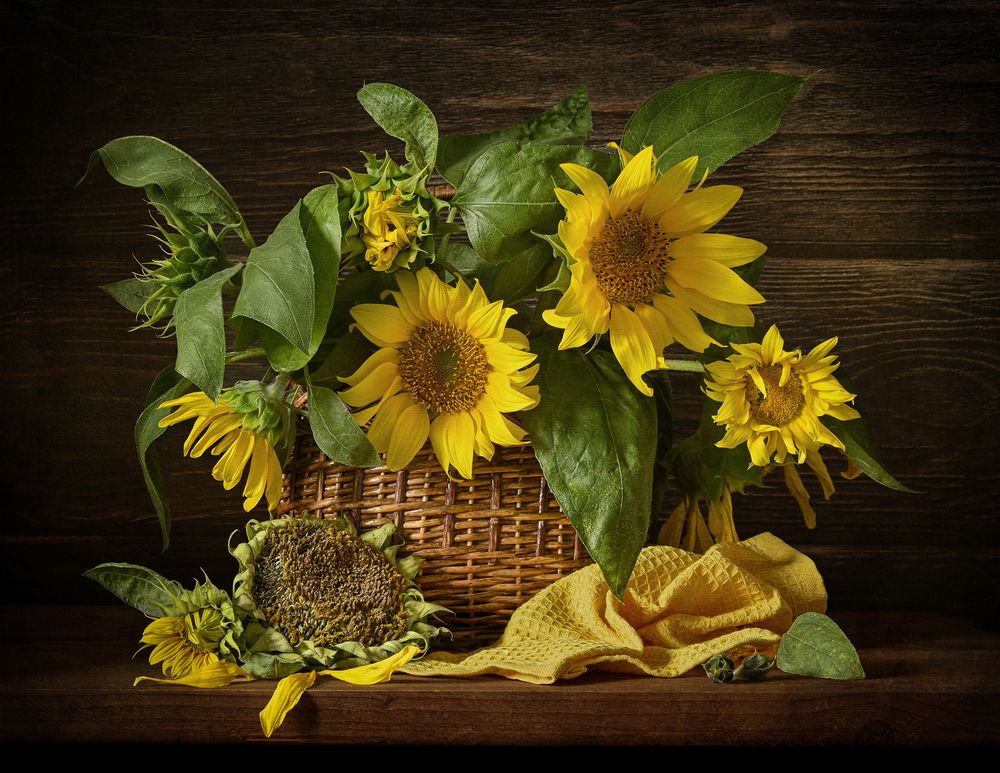 Photograph by Inna Ivanova