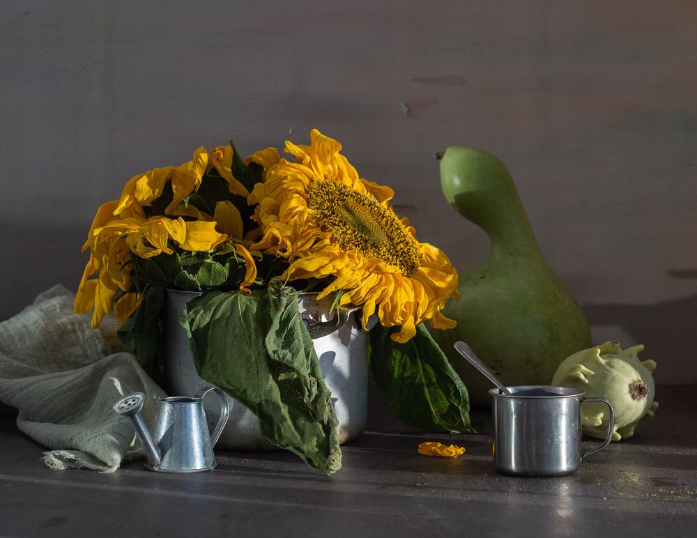 Photograph by Ирина Яук