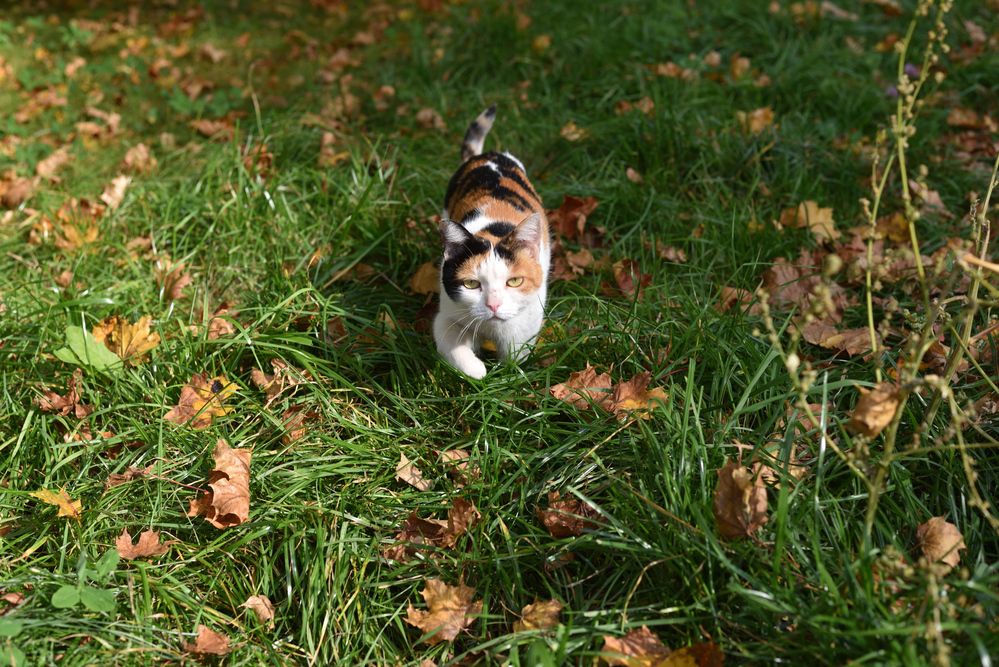 Photograph by Ирина Ященко