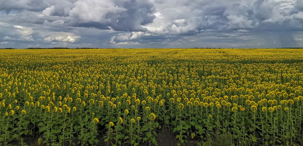 Фотография автора ТАТЬЯНА ЗАХАРОВА
