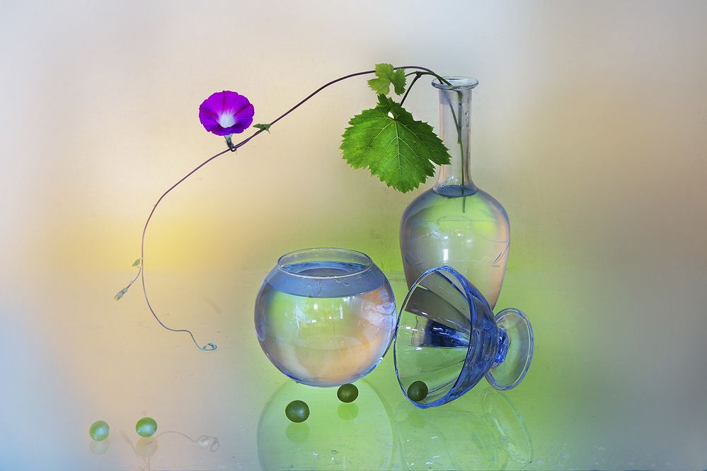 Photograph by Вера  Павлухина