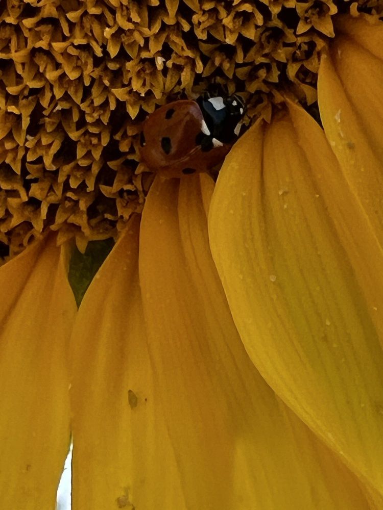 Photograph by Eugenia Schmidt