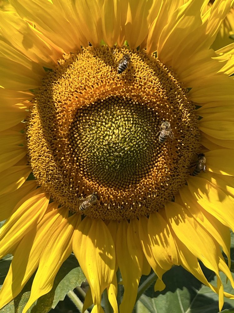 Photograph by Eugenia Schmidt