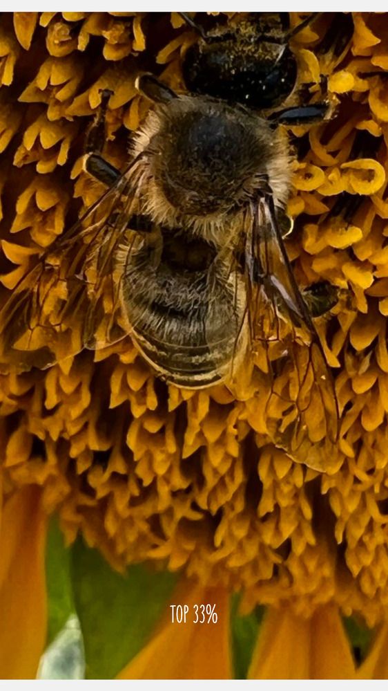 Photograph by Eugenia Schmidt