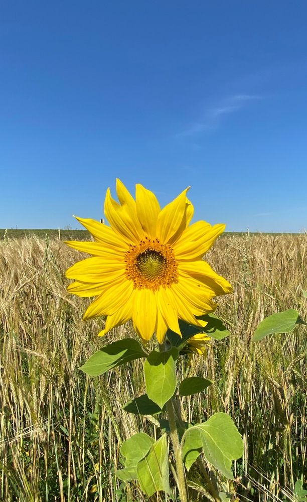 Photograph by Алиса Лукина