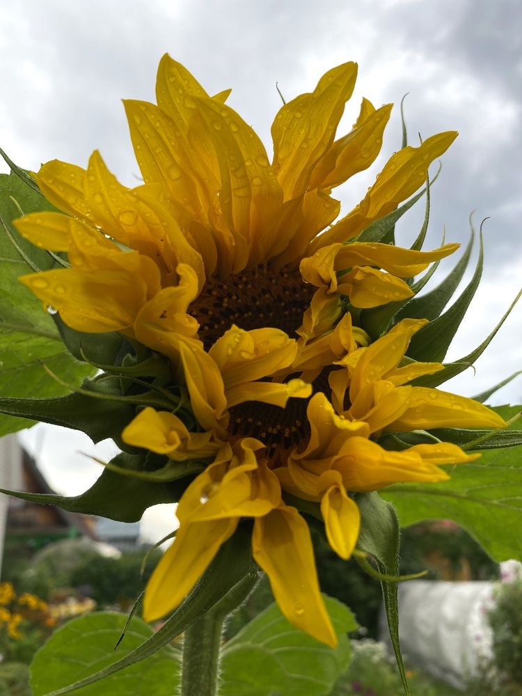 Photograph by Алиса Лукина