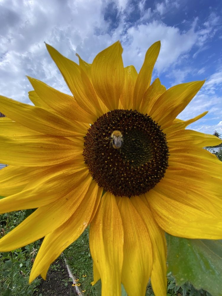 Photograph by Алиса Лукина