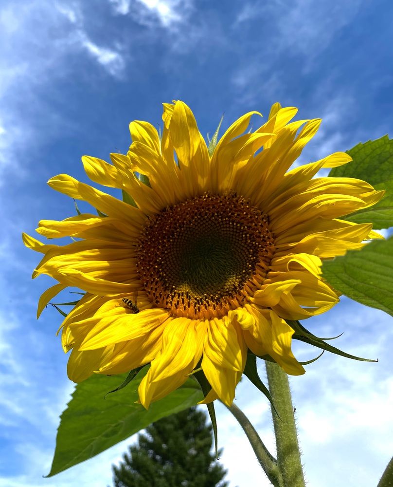 Photograph by Алиса Лукина