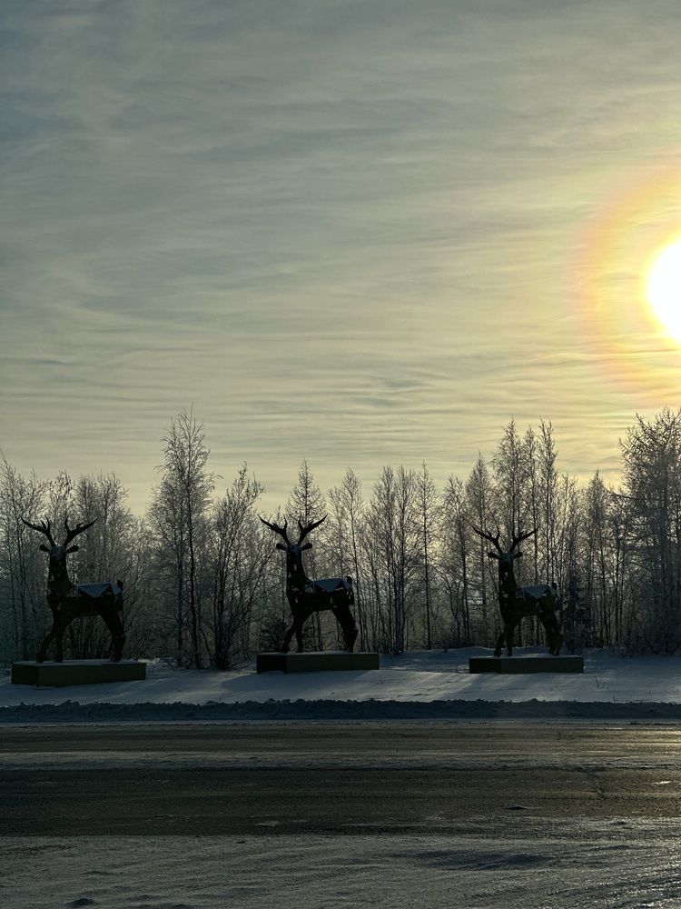 Photograph by Iuliia Govorunenko