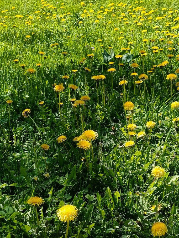 Photograph by Наталья Покрепина