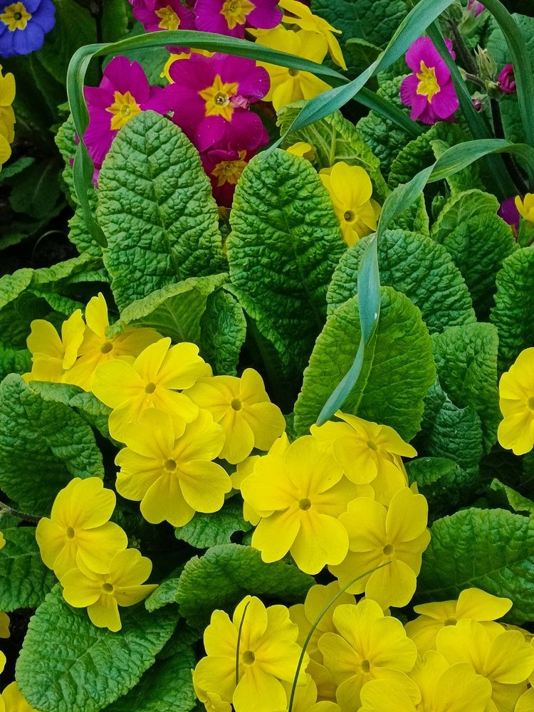 Photograph by Наталья Покрепина