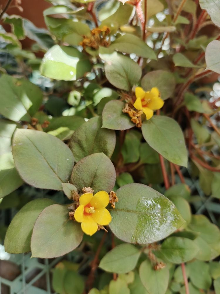 Photograph by Наталья Покрепина