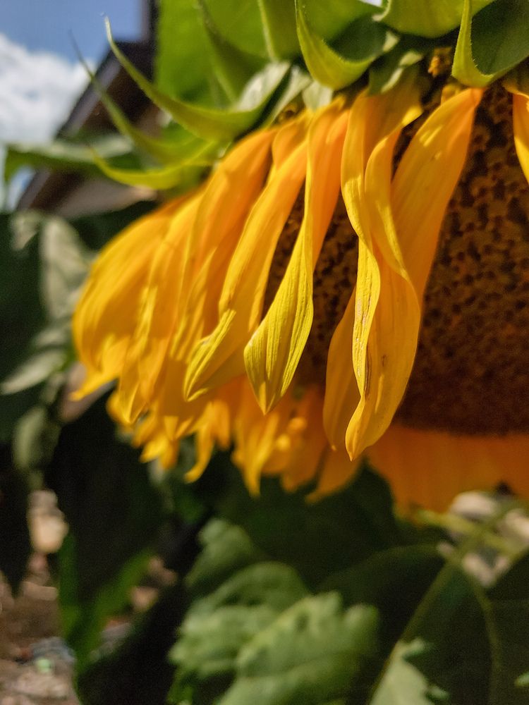 Photograph by Кристина Сысоева