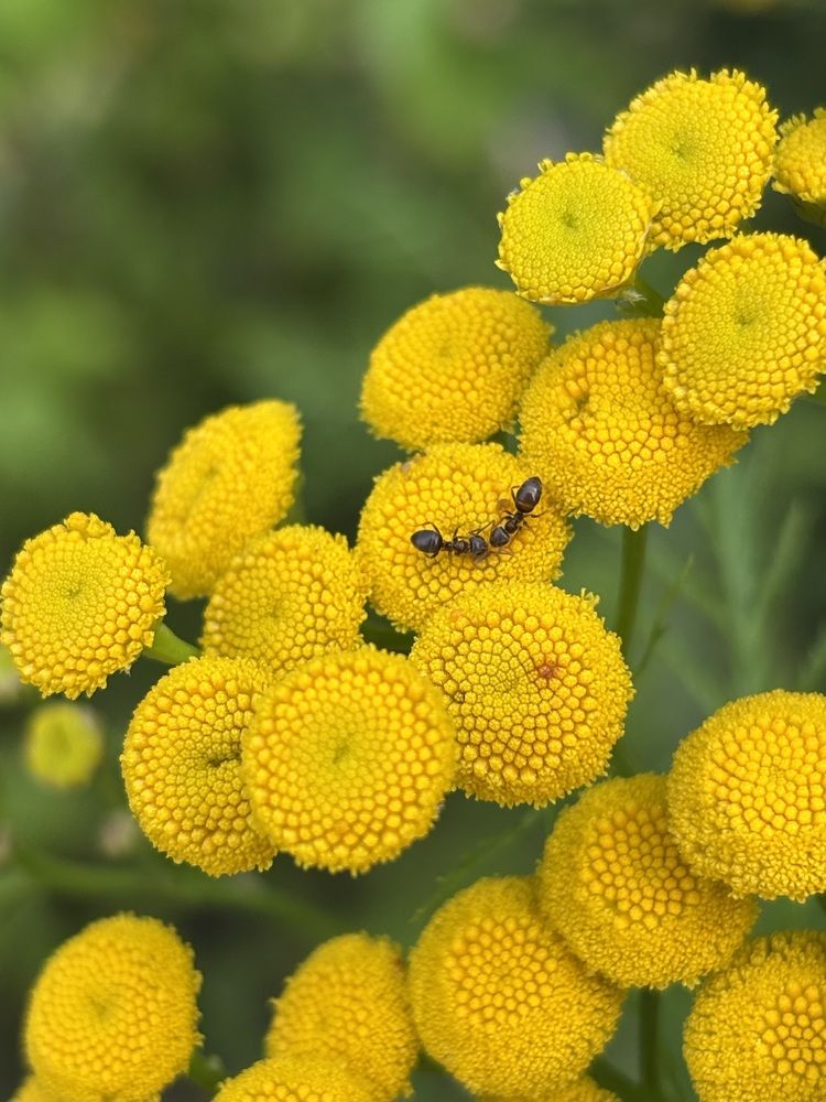 Photograph by Ketsia Samano