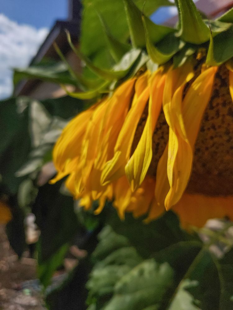 Photograph by Кристина Сысоева