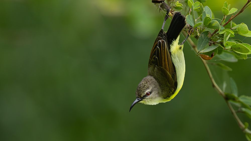 Photograph by Mahesh Kumar V Kolekar