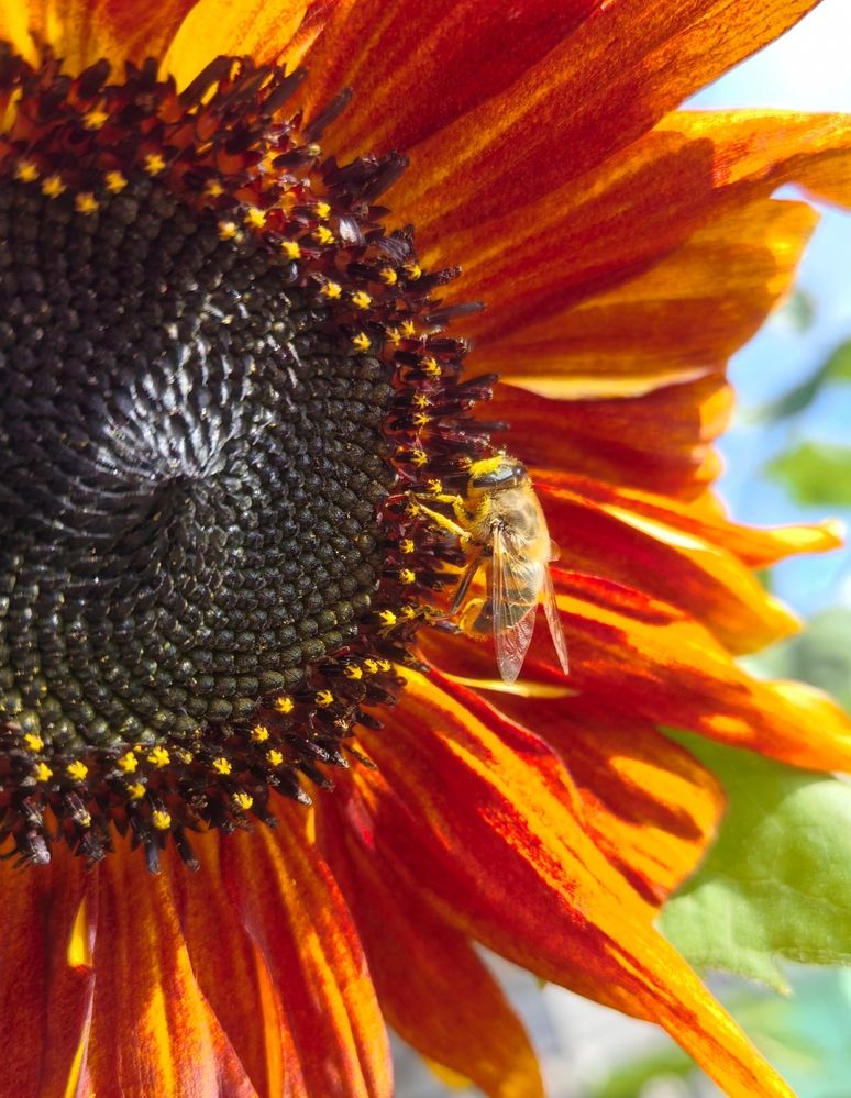 Photograph by Olga Kot