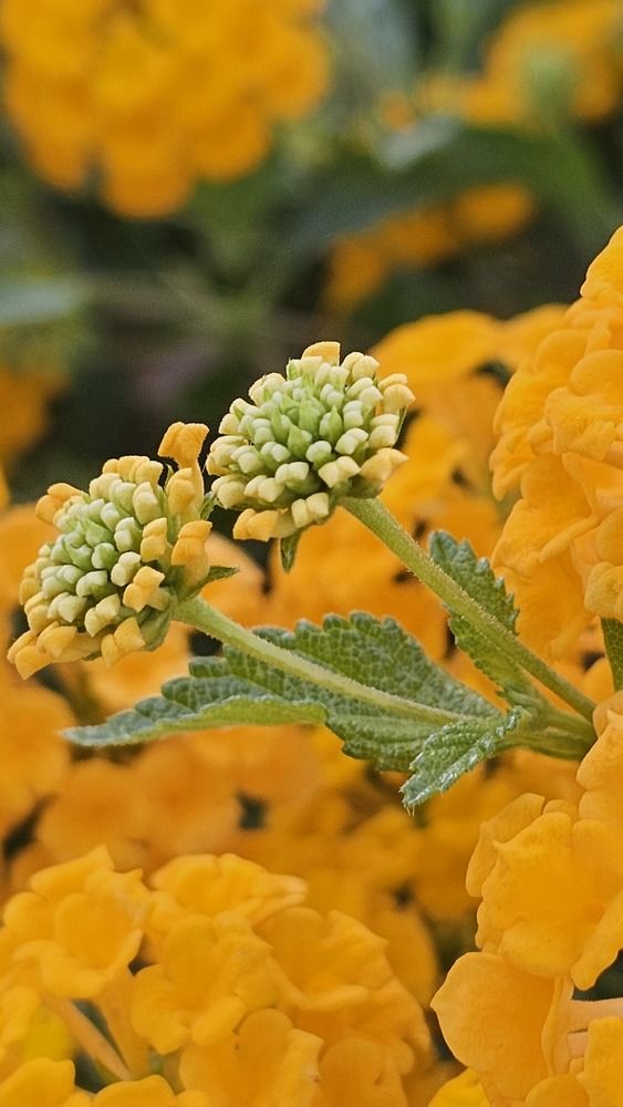 Photograph by Ralitsa Byalkova