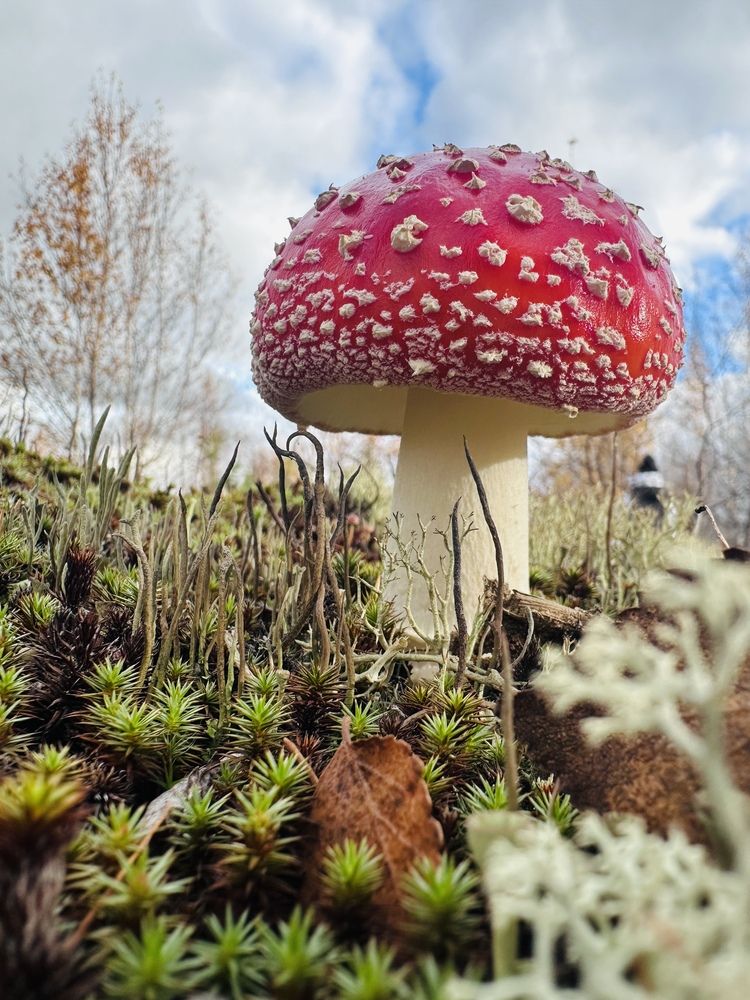 Природный минимализм