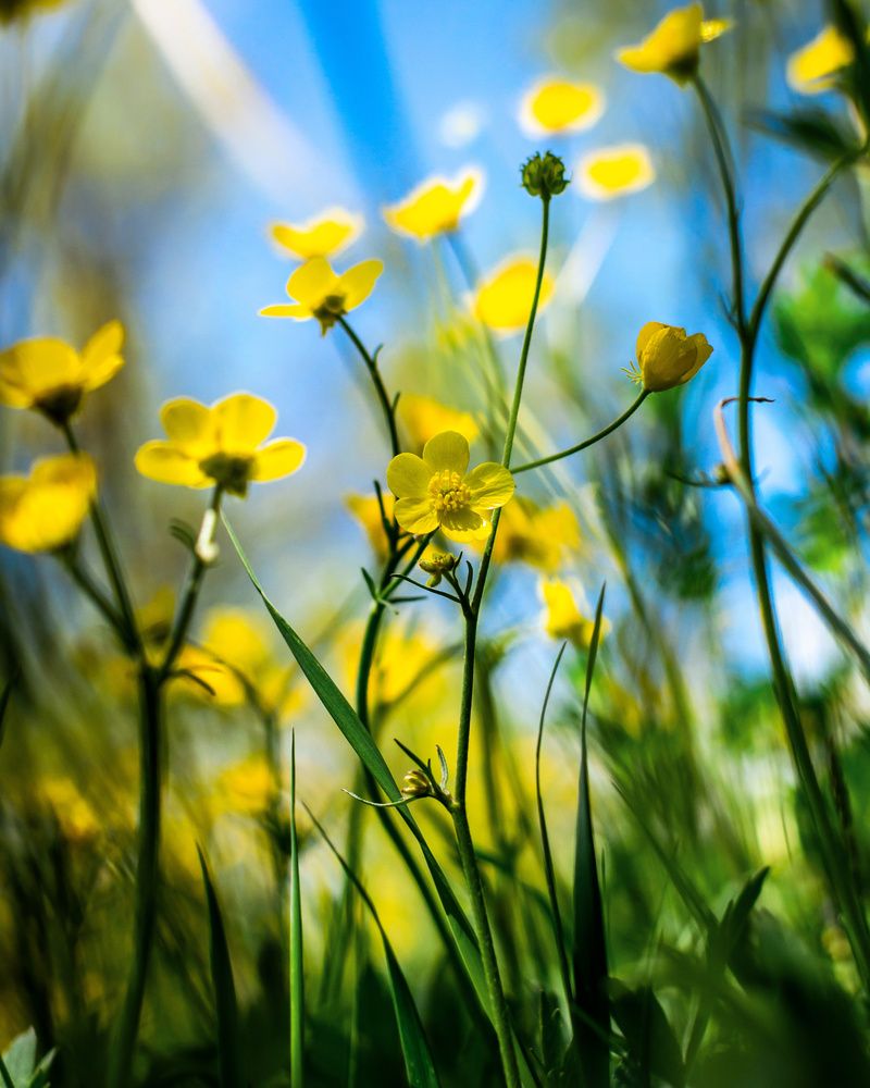 Фотография автора Mohammad Mohammadpour