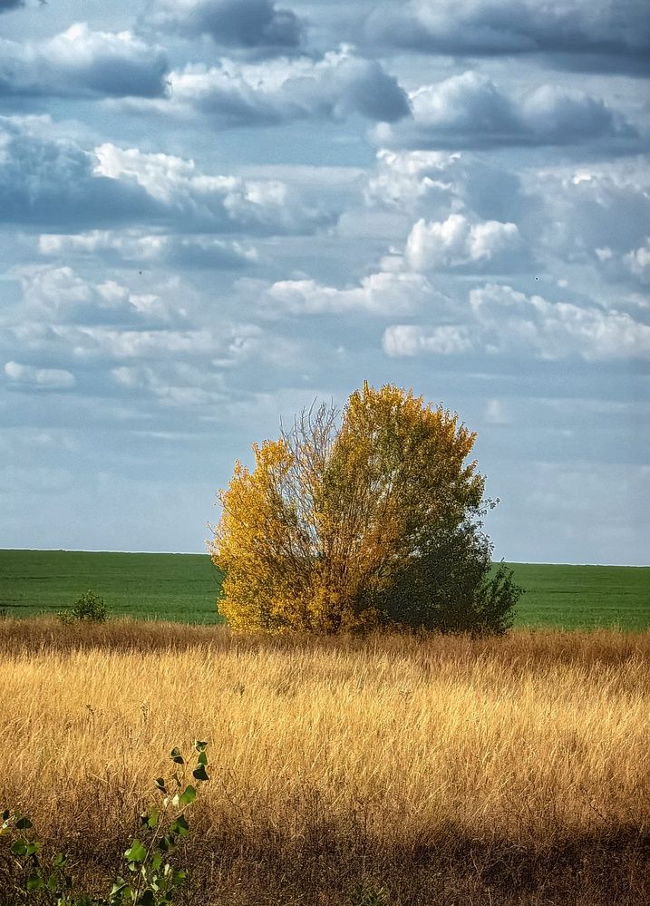 Photograph by Сергей Зайцев