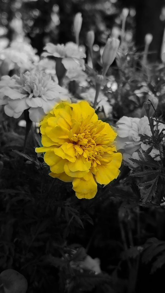 Photograph by Светлана Вергеенко