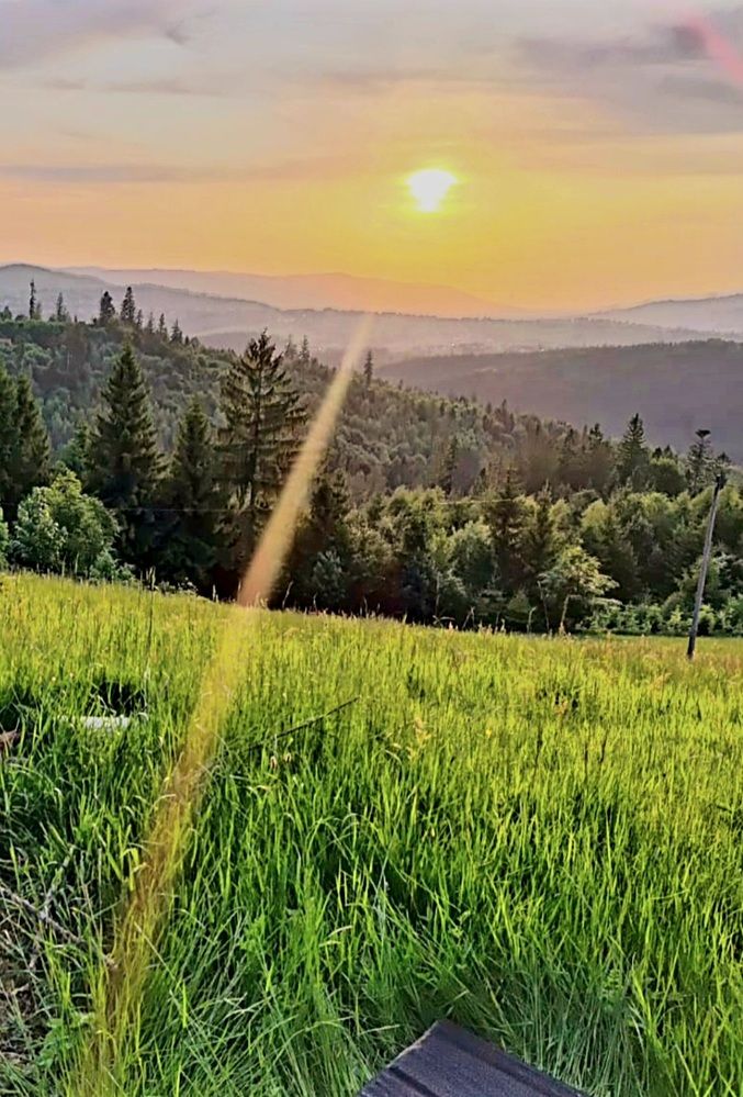 Photograph by Евгений Савулькин