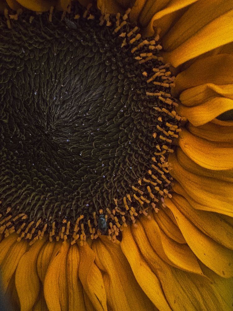 Photograph by Марина Харитонова