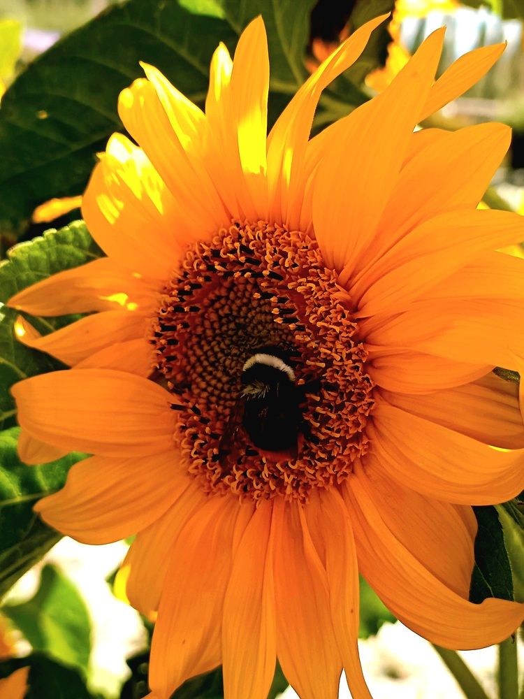 Photograph by Rahul Raman