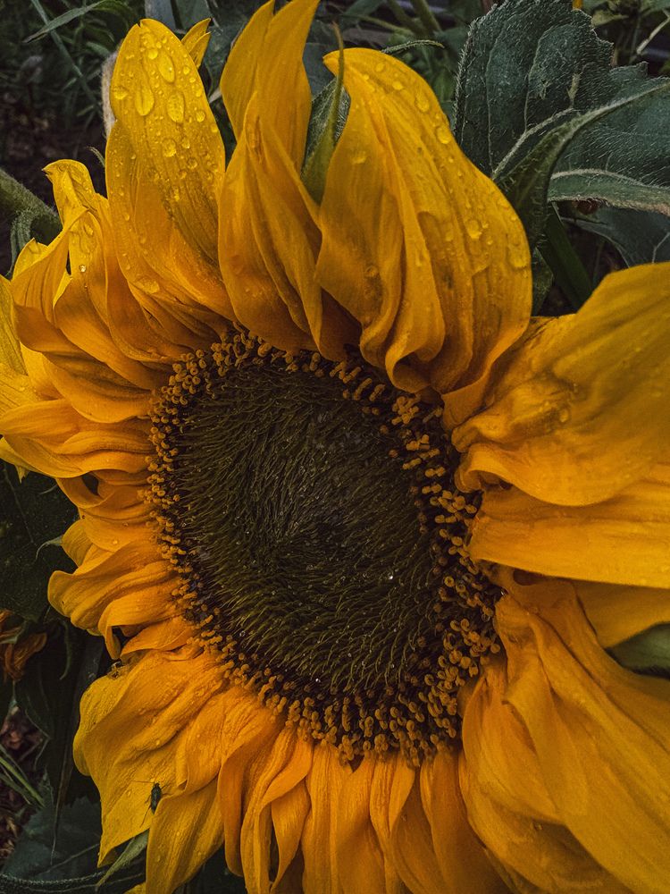 Photograph by Марина Харитонова