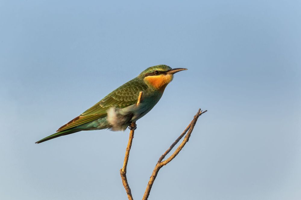 Фотография автора Гарус Виктория