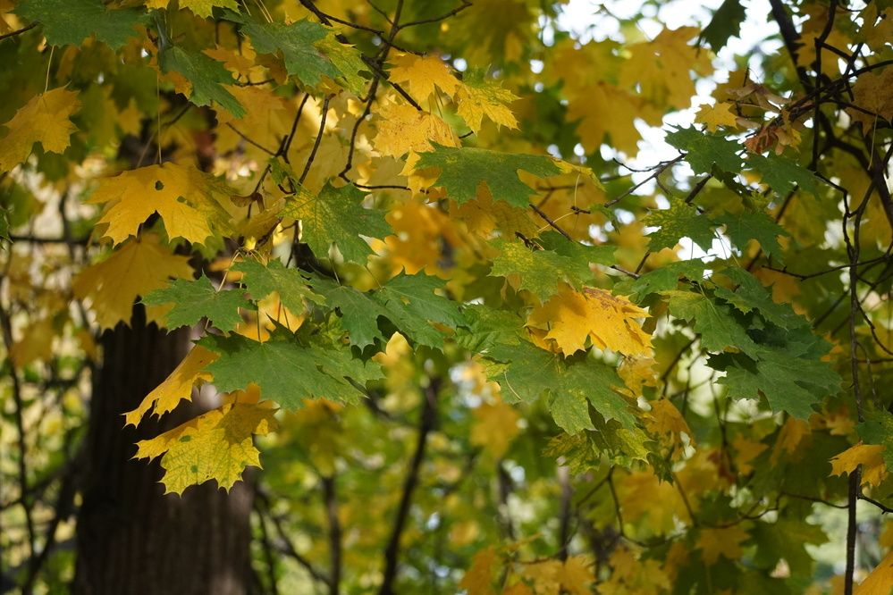 Photograph by Алфия Бугакова