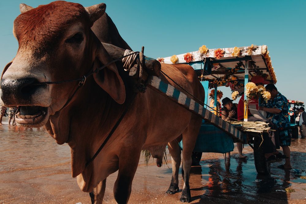 Photograph by Phu Phan Lap